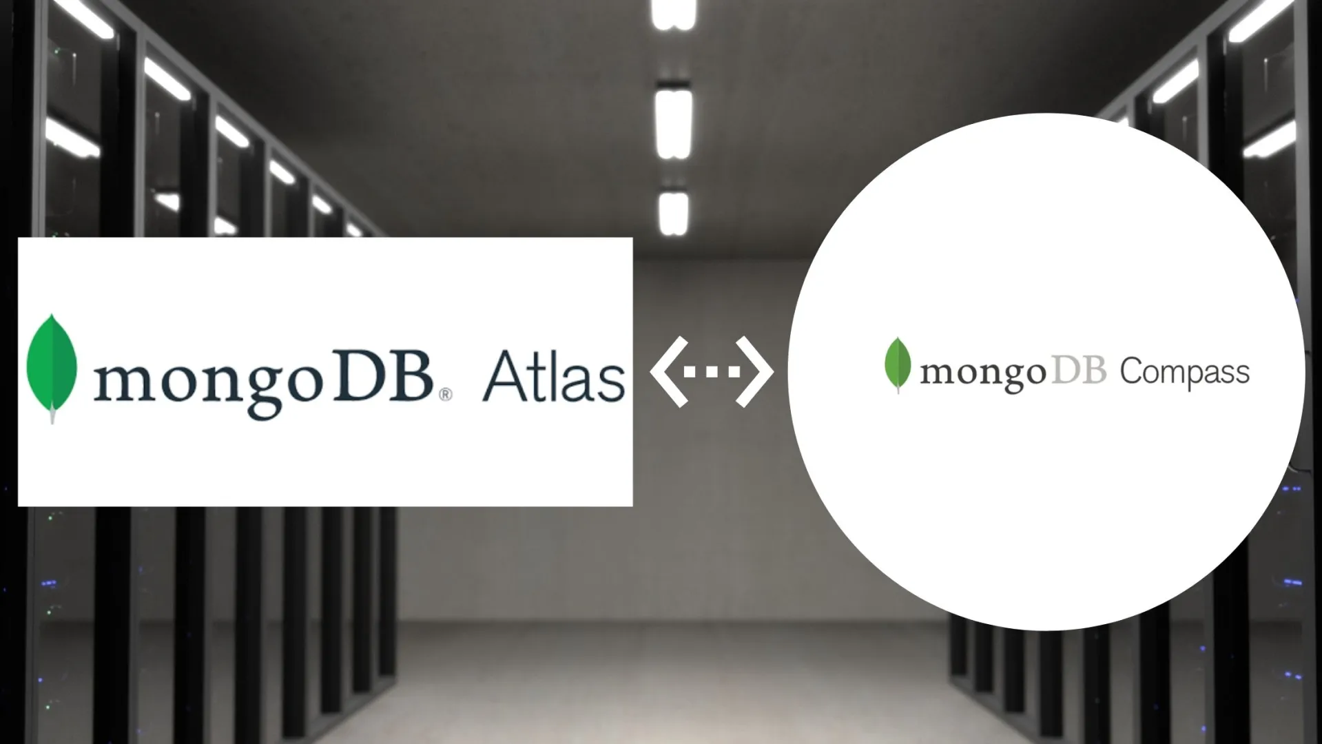 How to Install MongoDB on Your Local System